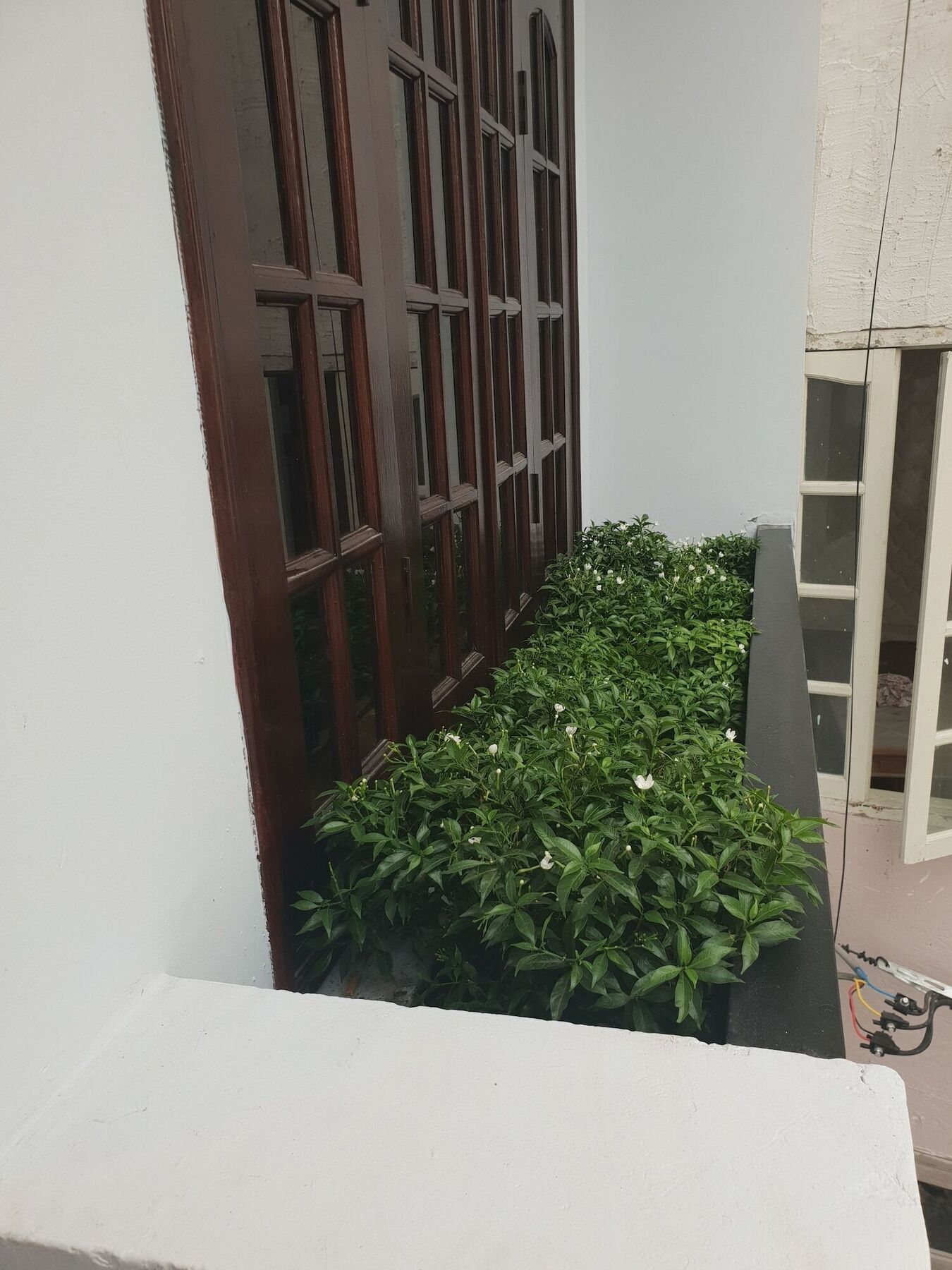 Thai Anh House - The Airport Ciudad Ho Chi Minh  Exterior foto